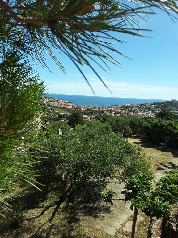 Villa Superbe Vue Sur Mer Et Sur La Montagne Jardin Terrasses Баніюль-сюр-Мер Екстер'єр фото