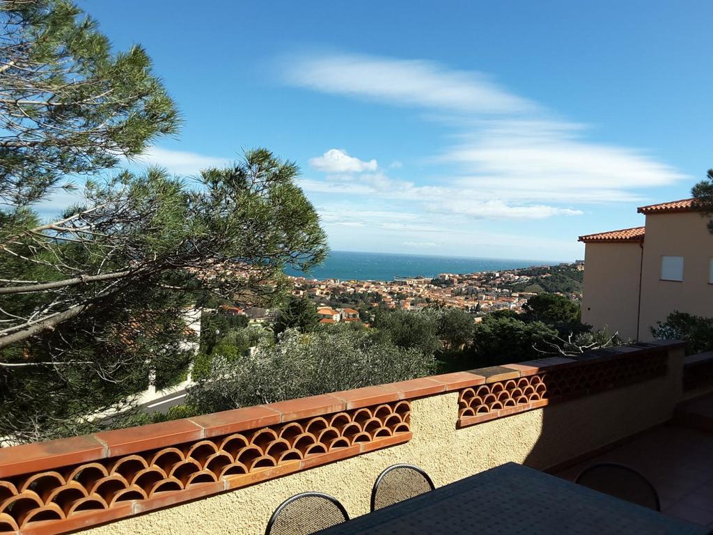 Villa Superbe Vue Sur Mer Et Sur La Montagne Jardin Terrasses Баніюль-сюр-Мер Екстер'єр фото